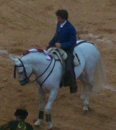 Pablo Hermoso de Mendoza