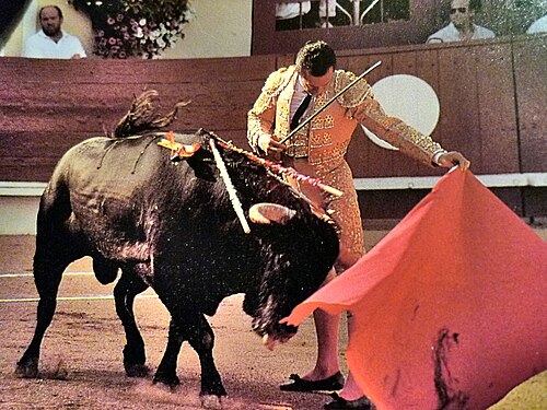 José María Manzanares