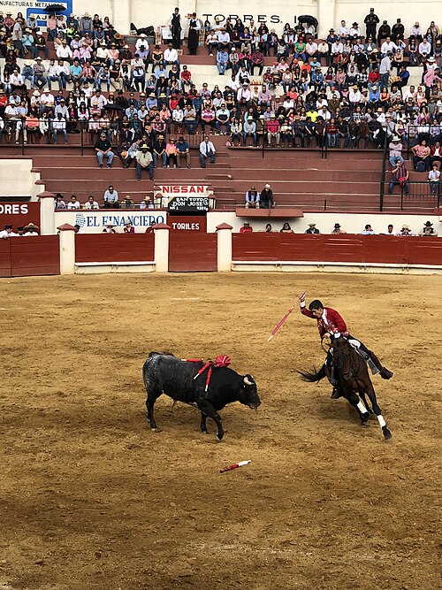 Guillermo Hermoso de Mendoza