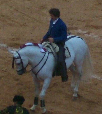 Pablo Hermoso de Mendoza