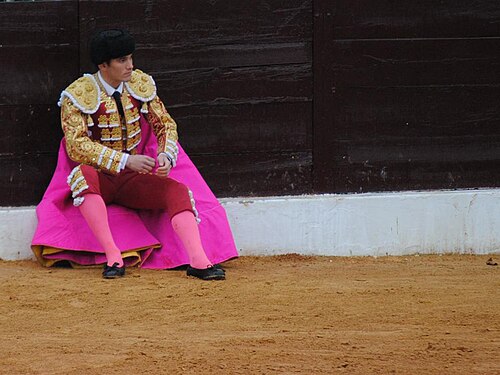 José Garrido